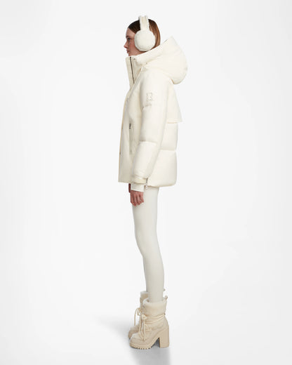 LOLI - 8124507 Iceland